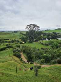 Hobbiton Movie Set, NZ