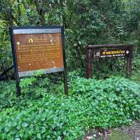 น้ำตกแม่ปาน (Mae Pan Waterfall) เชียงใหม่