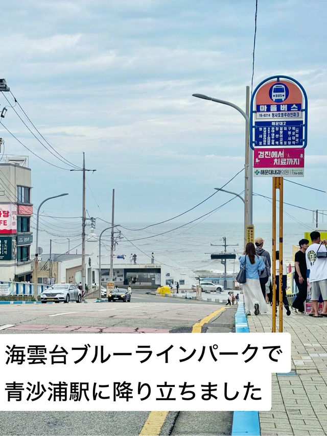 【釜山旅】青沙浦駅のおしゃれなオーシャンビューカフェ🫶