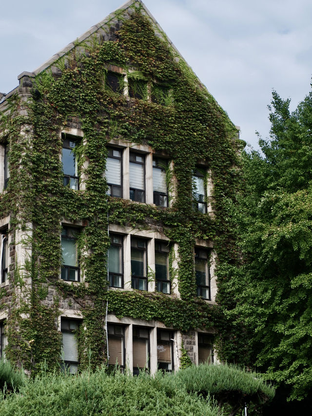 DISCOVER YONSEI UNIVERSITY | SEOUL'S PRESTIGIOUS AND ICONIC CAMPUS 