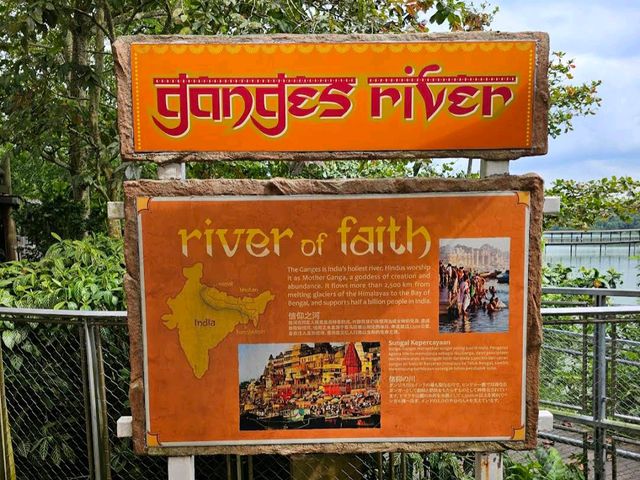 River Wonders