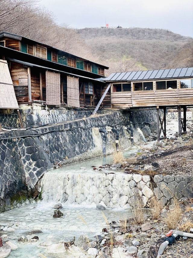 【冬の栃木那須の旅】  栃木最古の湯  48℃の湯が・・ポカポカ すべすべ