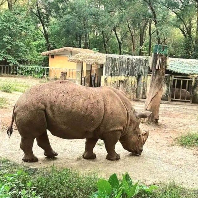 Guangzhou Zoo