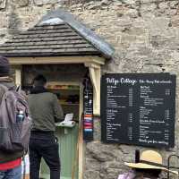 Picturesque accommodation and cottage