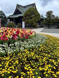 【千葉】成田山参道で食べ歩き🍡