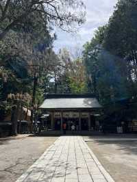 【長野】全国2.5万社以上ある諏訪神社の総本社でパワーチャージ!!