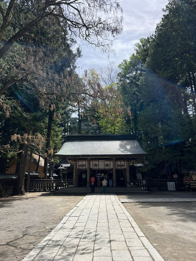 【長野】全国2.5万社以上ある諏訪神社の総本社でパワーチャージ!!