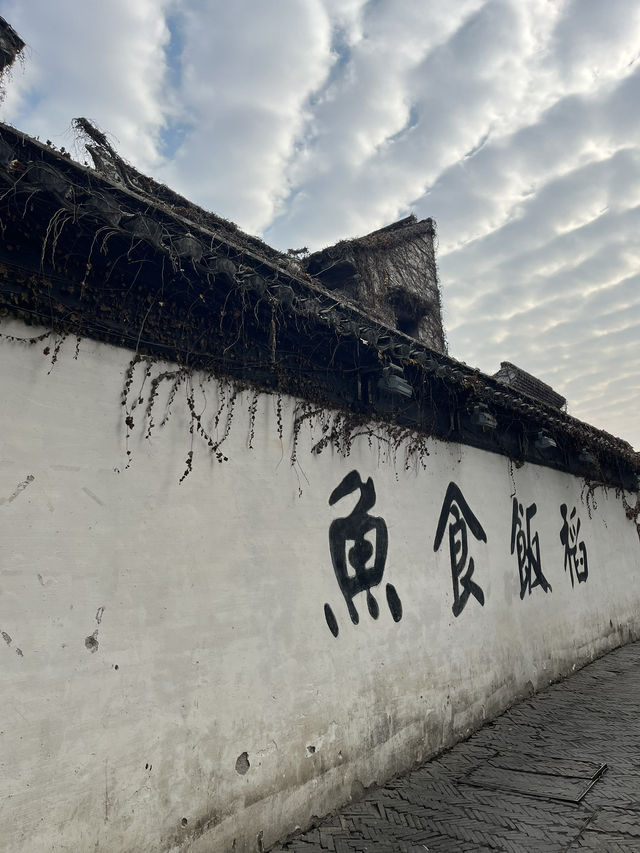 Canal at its best - Pingjiang Road