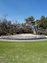 Exploring Perth: Stunning Views, Vibrant Culture, and Coastal Beauty