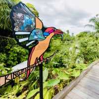 Wildlife Wonders at The Mandai Boardwalk!