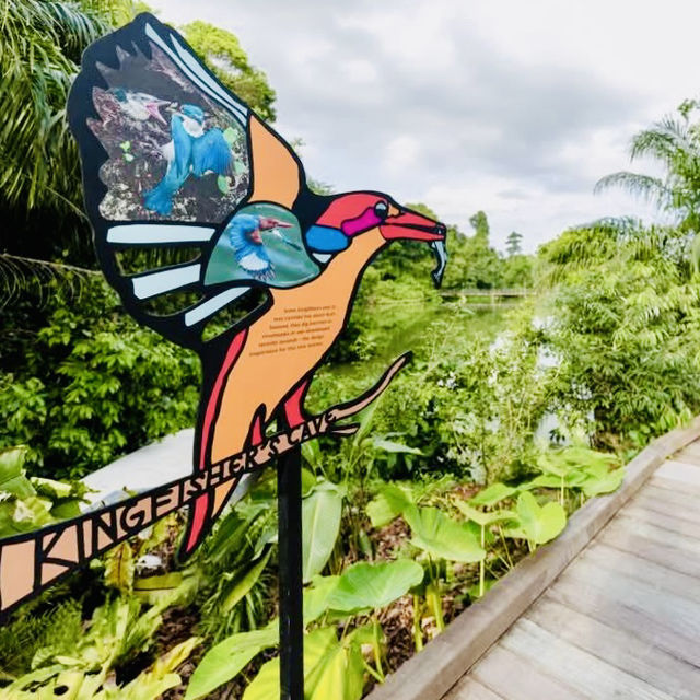 Wildlife Wonders at The Mandai Boardwalk!