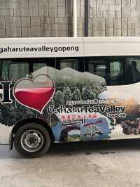 Gaharu Tea Valley: A Tranquil Escape into Nature