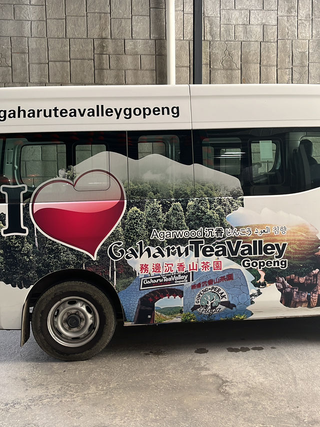 Gaharu Tea Valley: A Tranquil Escape into Nature