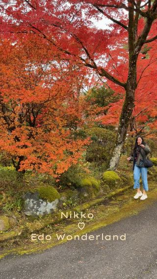 Nikko, Japan 