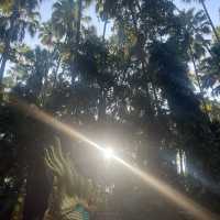 ทริปสายมู
