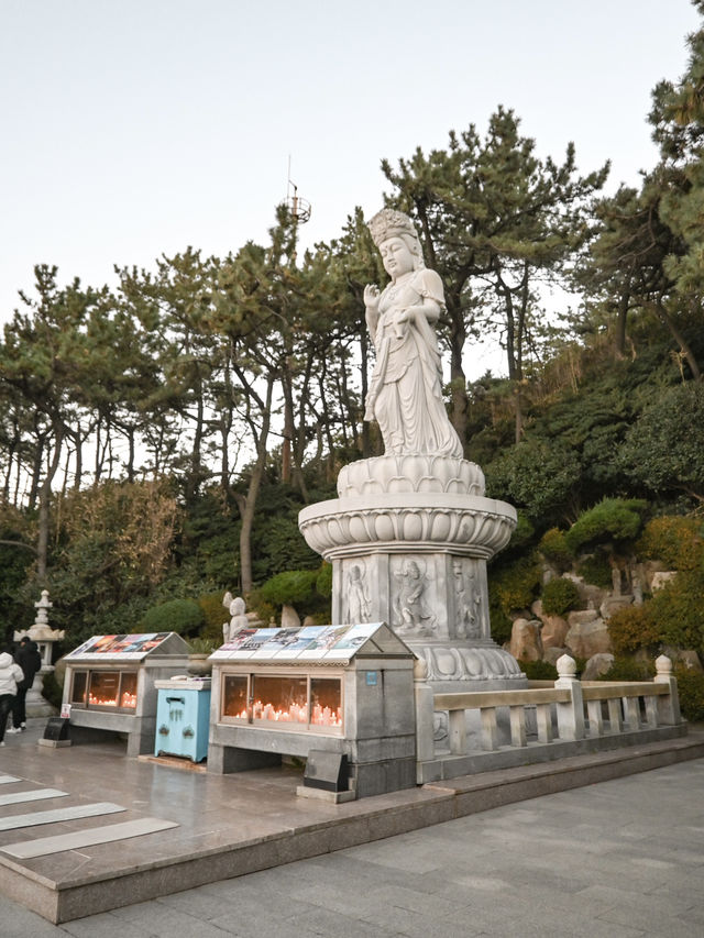 【釜山】美しい海のお寺 海東龍宮寺