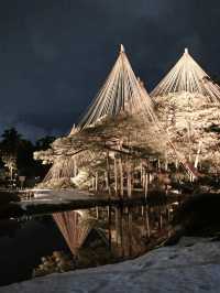 【石川】兼六園の夜間ライトアップ✨美しい雪吊り