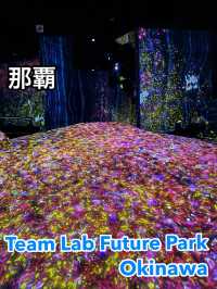 子供だけじゃなく大人も楽しめる Team Lab Future Park Okinawa 【那覇】