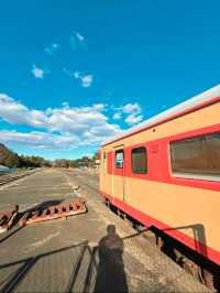 【茨城】阿字ヶ浦✼ローカル電車でレトロさんぽ