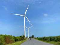 Pak Phanang Wind Park  ปากพนัง นครศรีธรรมราช