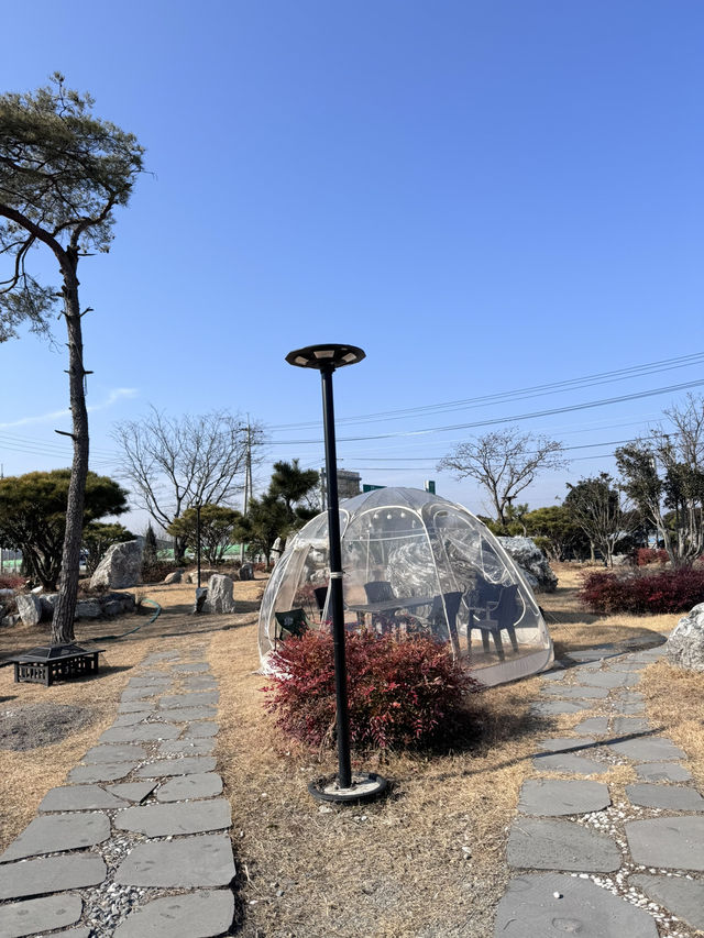 나주 아이들과 함께 가기 좋은 대형 카페,카페정원