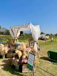 I Love Flower Farm