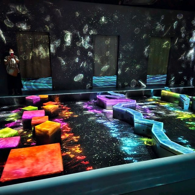 福岡📍 TeamLab Forest