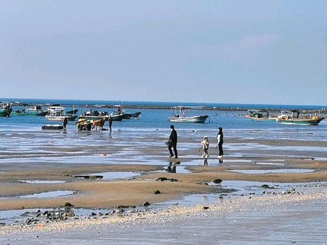 放坡村浪漫趕海