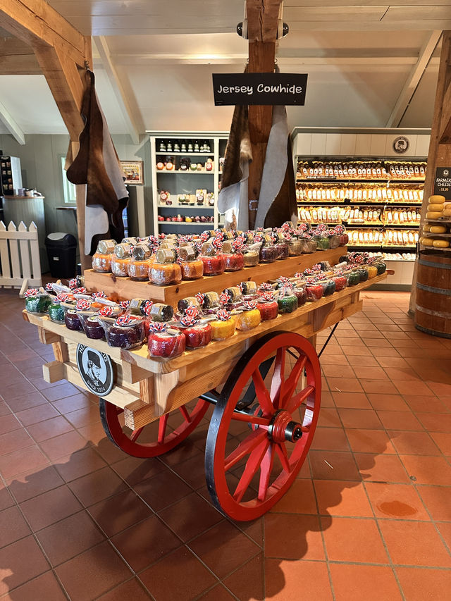 Cheese Farm Catharina Hoeve: A Paradise for Cheese Lovers