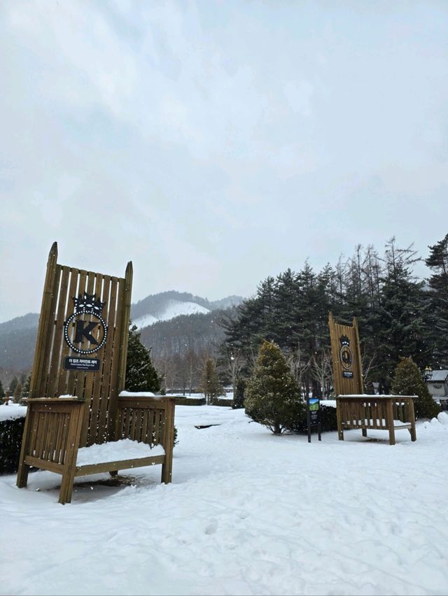 실시간 눈내리는 평창 유럽 정원🤍