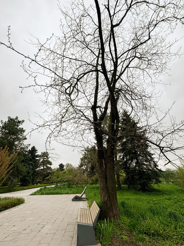 Botanical Garden Almaty, Kazasthan😍