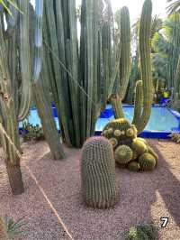 🇲🇦マラケシュ　マジョレル庭園
