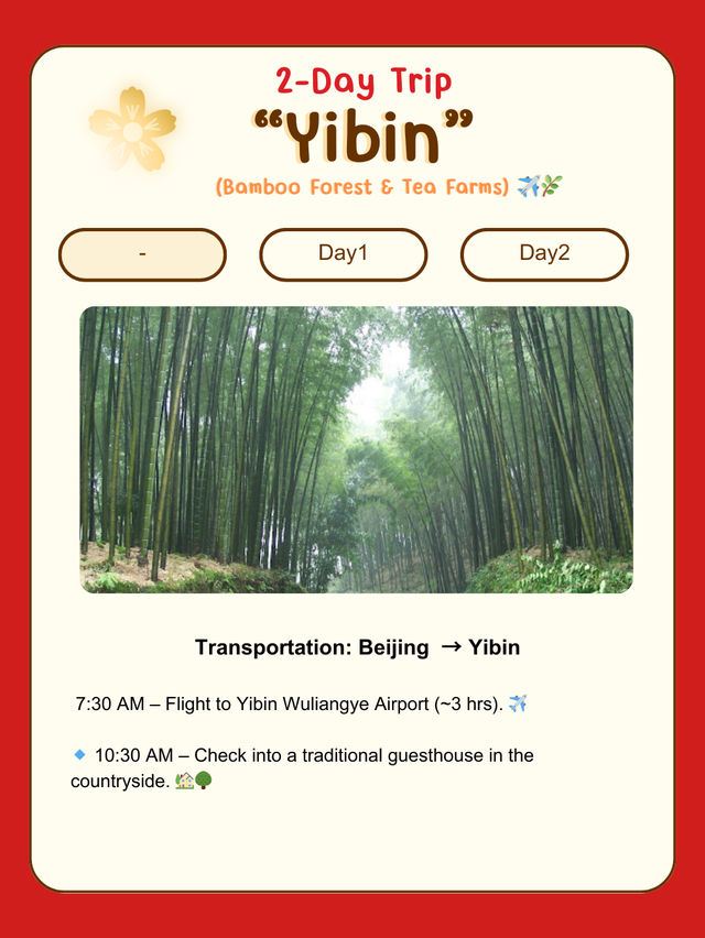 🏞️ 2-Day Trip to Yibin (Sichuan)