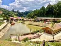 Betong Winter Flowers Garden