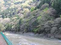 SAGANO ROMANTIC TRAIN