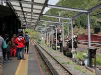SAGANO ROMANTIC TRAIN