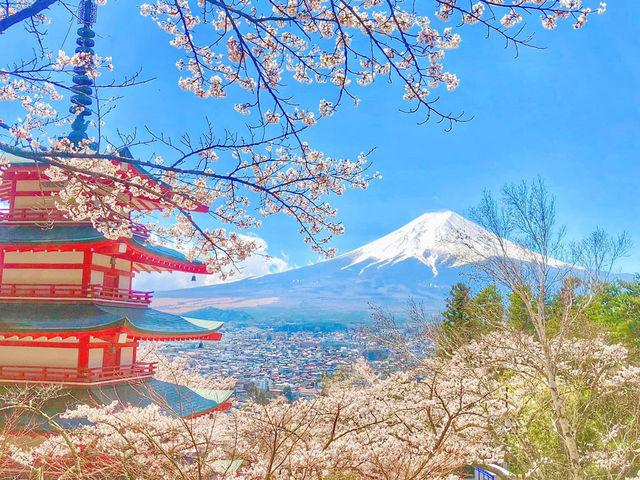 Mt. Fuji in a Day: Cherry Blossoms and Scenic Views