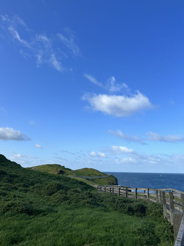 Phillip Island เมลเบิร์น🇦🇺 