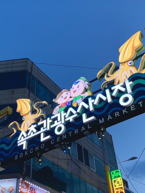 다가오는 여름에 꼭 가봐야 할 속초 여행 모먼트