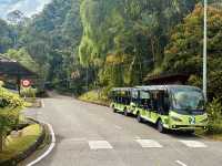 Semenggoh Nature Reserve - A Thrilling Wildlife Adventure