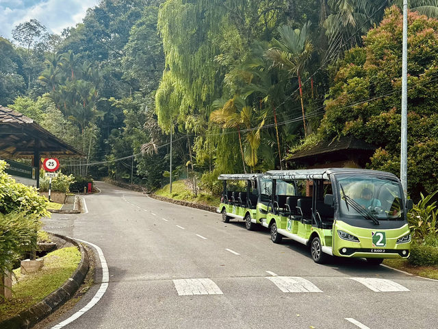 Semenggoh Nature Reserve - A Thrilling Wildlife Adventure