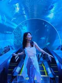 บึงฉวาก สวรรค์ของคนรักปลา 🐟🐠