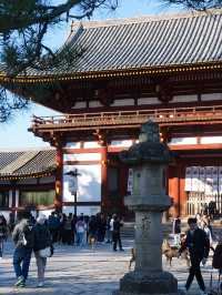 大阪行程｜周邊一日遊｜興福寺與東大寺