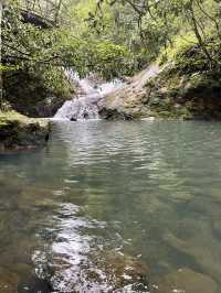 Top 3 Waterfalls in Flores Island for Swimming 💦🏝️ 