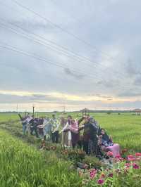 Yogyakarta & Solo: A Journey Through Culture and Nature