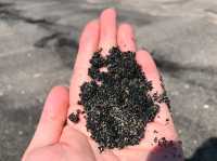 Black sand beach 