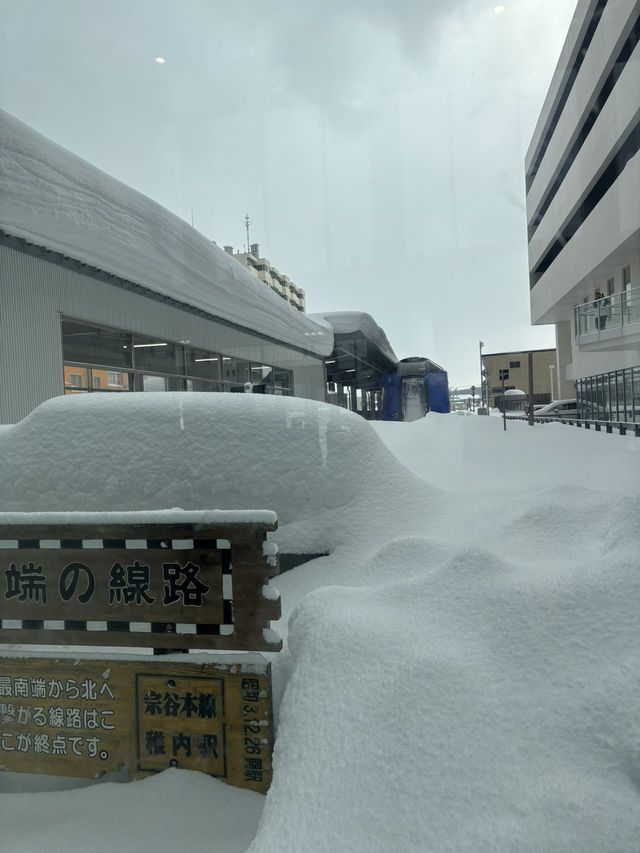 🇯🇵 일본 최북단! 왓카나이