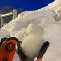 新潟県越後湯沢で1泊2日のスキー旅行⛷️