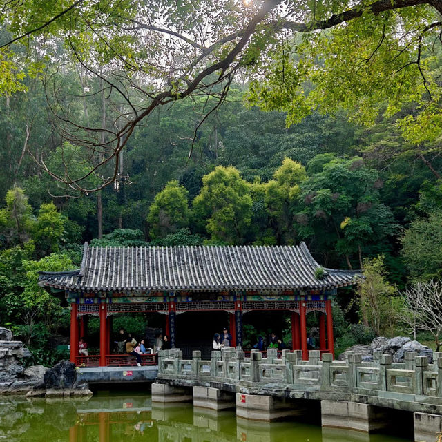 大岑公園·園林夢幻