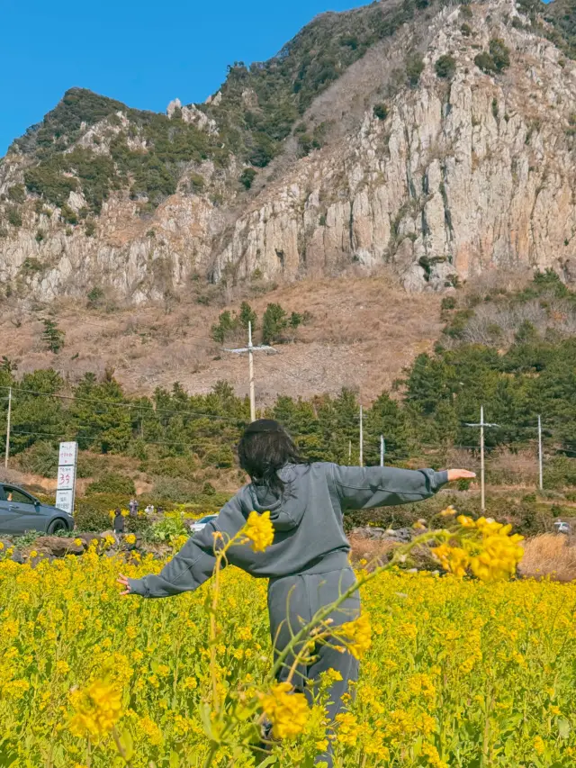 서귀포 2박 3일 여행 코스